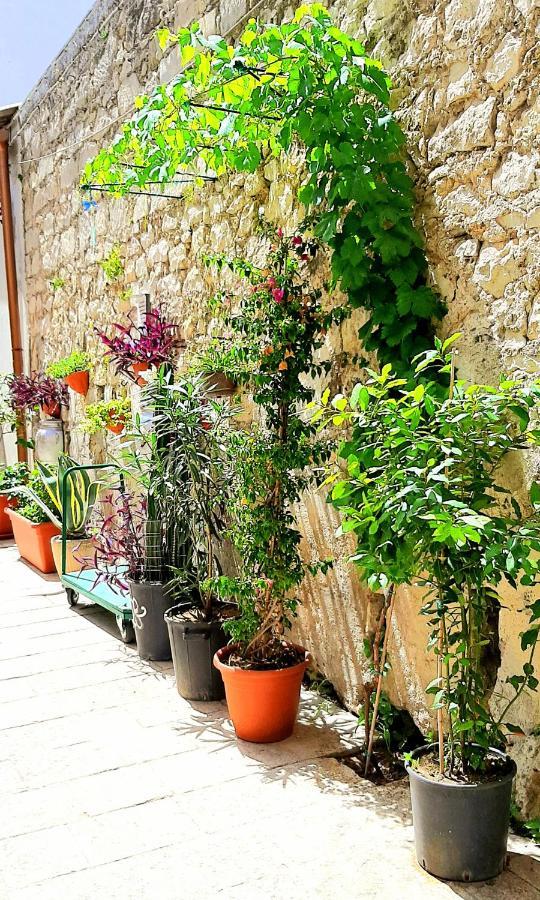 Apartmán Asfodelo Ragusa Exteriér fotografie
